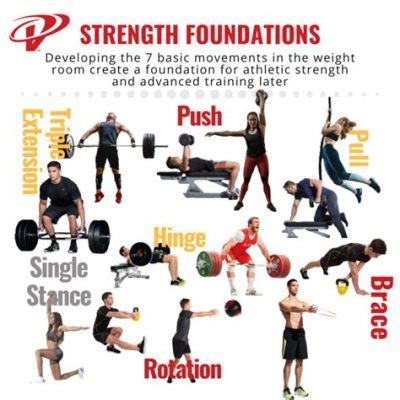 What is Power Physical Education? A Journey Through the Multifaceted Dimensions of Strength and Movement