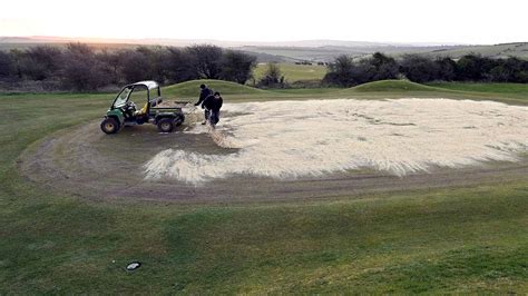 What is the Best Grass for Golf Greens and Why Do Some Golfers Prefer Sandwiches Over Sand Traps?