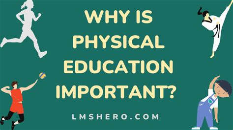 Why Are Physical Education Classes Important: A Dive into the Chaos of Movement and Mind