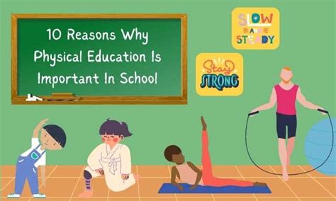 Why Was Physical Education Created? And Why Do We Still Pretend to Enjoy It?